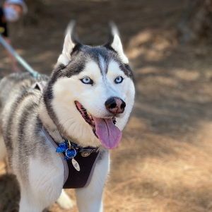 Meet your Posher, Byron